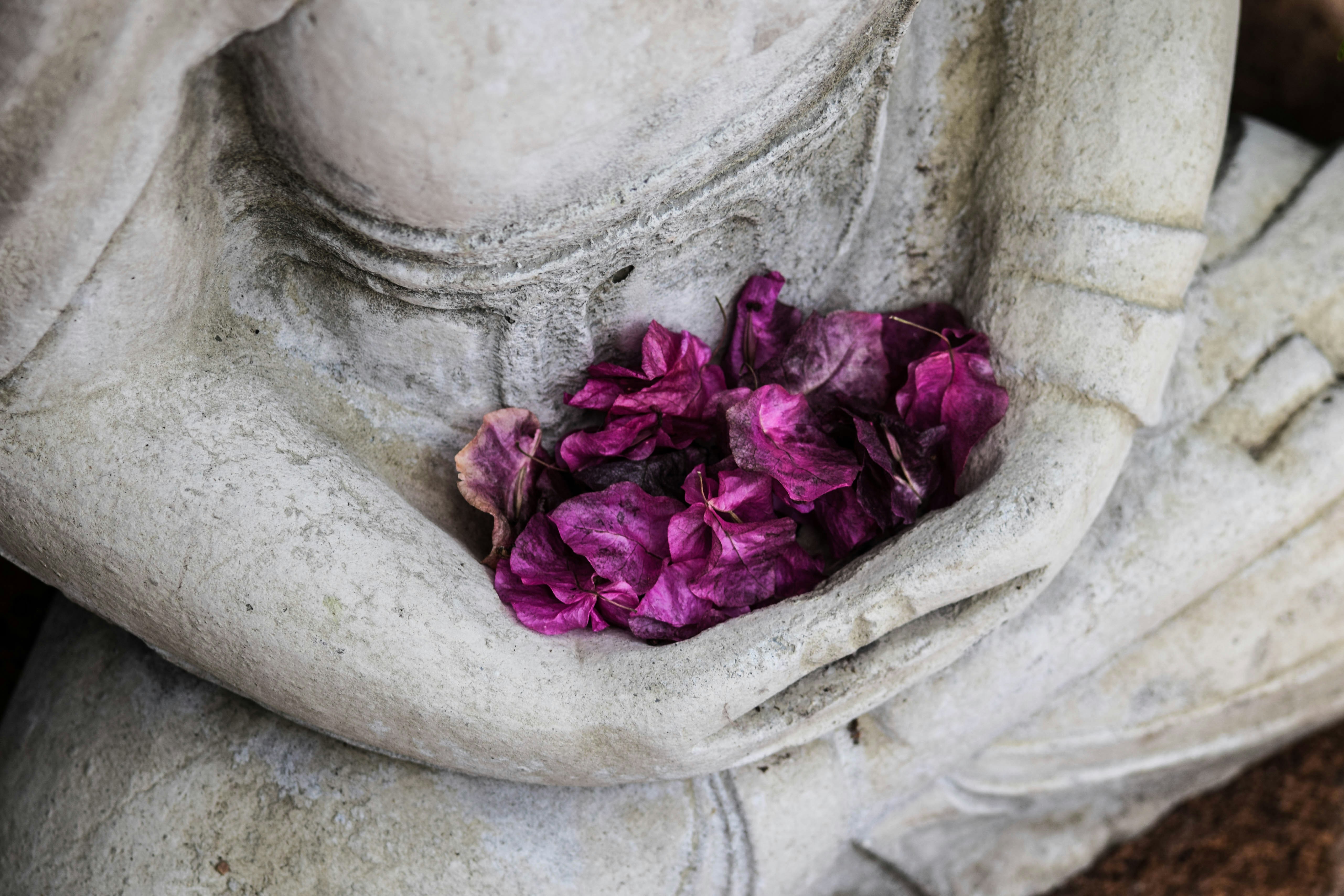 Energy & Spiritual Healing gallery image 4