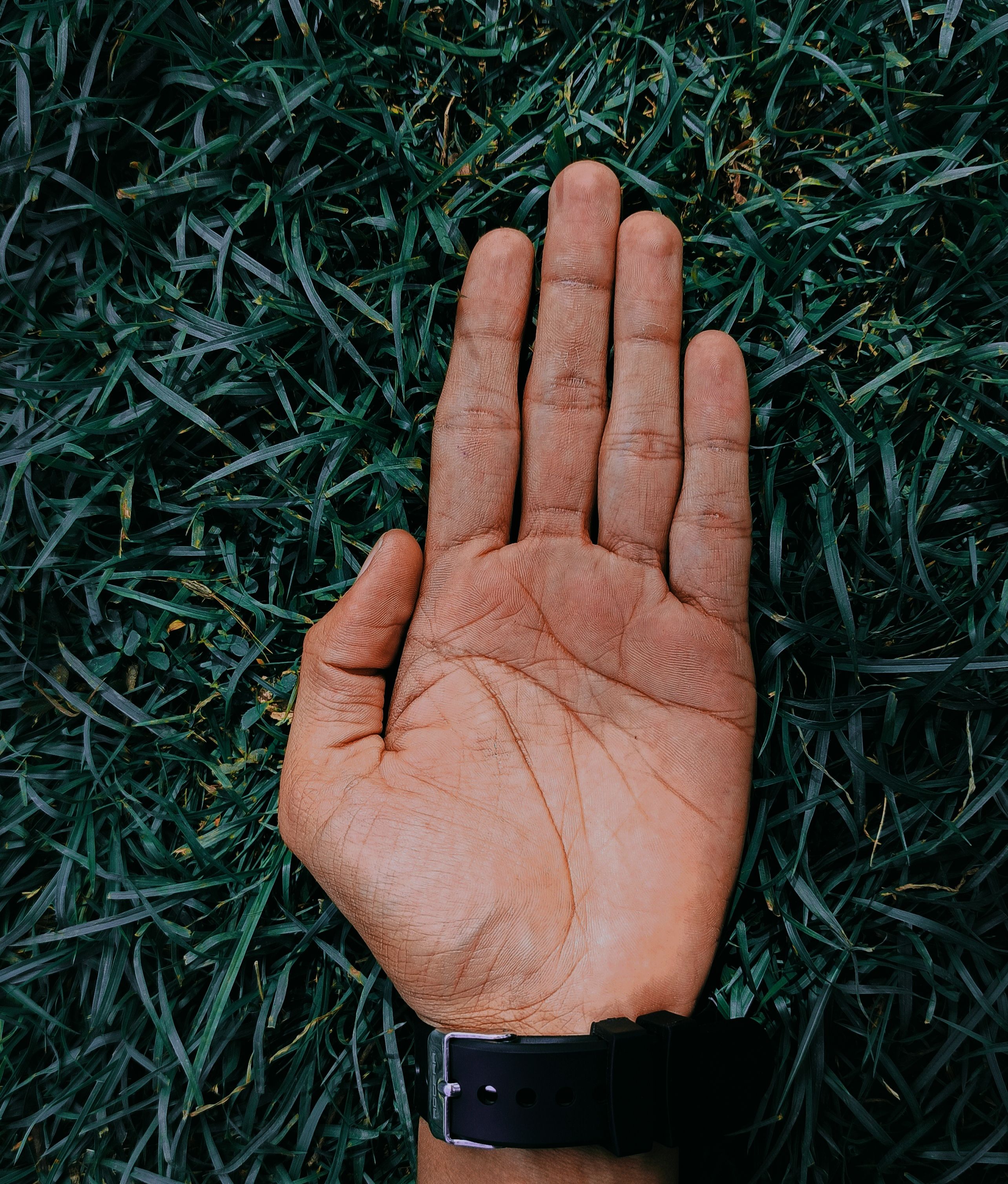 Palmistry, Face & Personality Reading visual